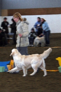 IMG_1415.JPG