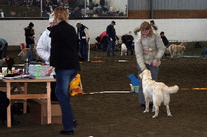 IMG_1417.JPG