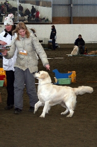 IMG_1419.JPG