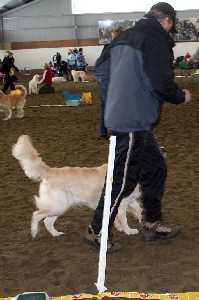 IMG_1425.JPG