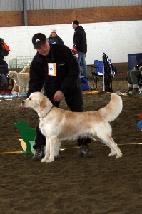 IMG_1429.JPG