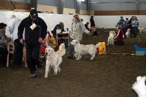 IMG_1430.JPG