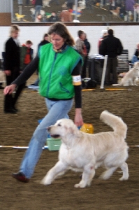 IMG_1484.JPG