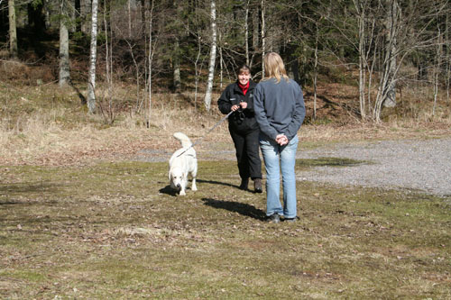 Det går ju att gå med denna personen också i koppel