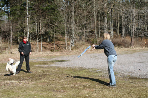Traskastning en gång till