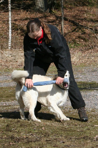 Ludde leker gärna