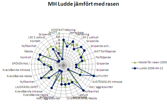 MH Ludde jämfört med rasen