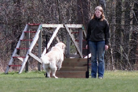 Hoppet