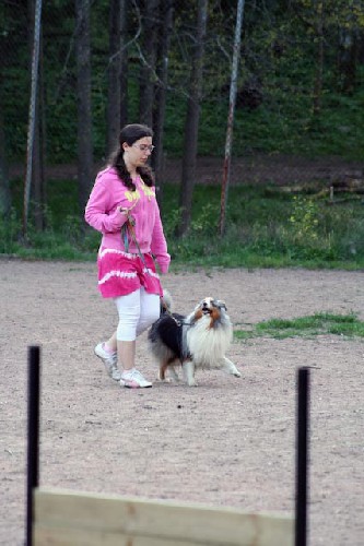 IMG_7529.jpg