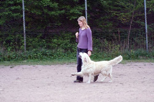 IMG_7545.jpg