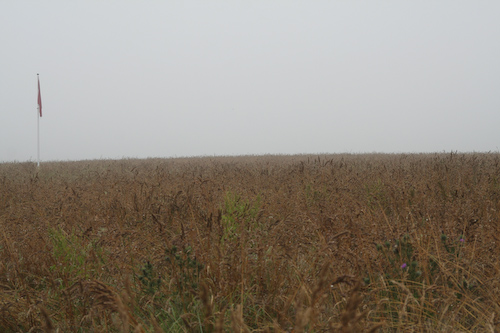 Slagfältet vid Culloden