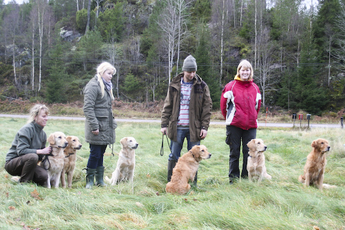 Familjefoto: Ellen, Freija, Zoey, Leia, Diesel & Epson