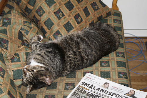 Caesar i soffan