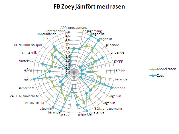 Zoey jämfört med rasen