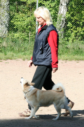 Ebba