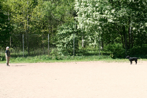 Låva