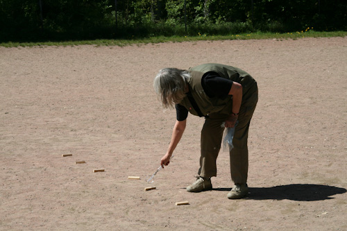 Tävlingsledaren Låtta