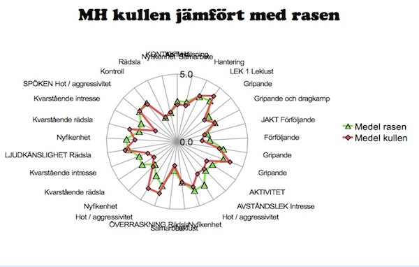 Kullen vs. rasen