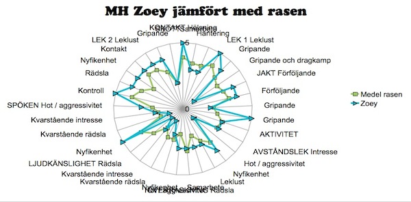 Zoey vs. rasen