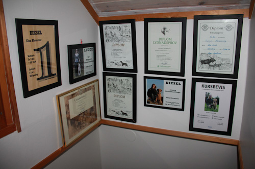 Elsas Wall of Fame