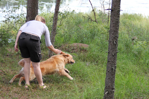05_110731_IMG_3073_500.jpg