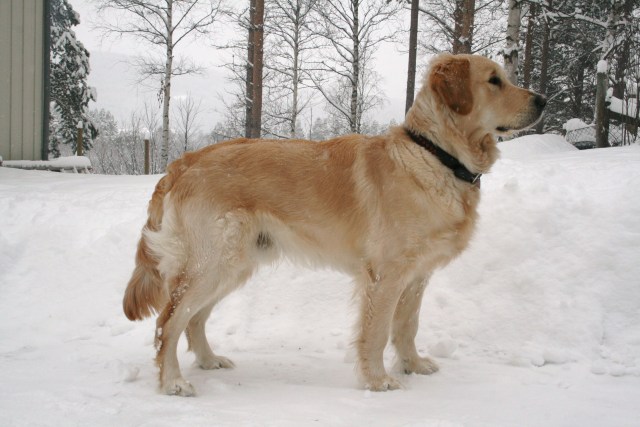 090212_faiko_10man.jpg