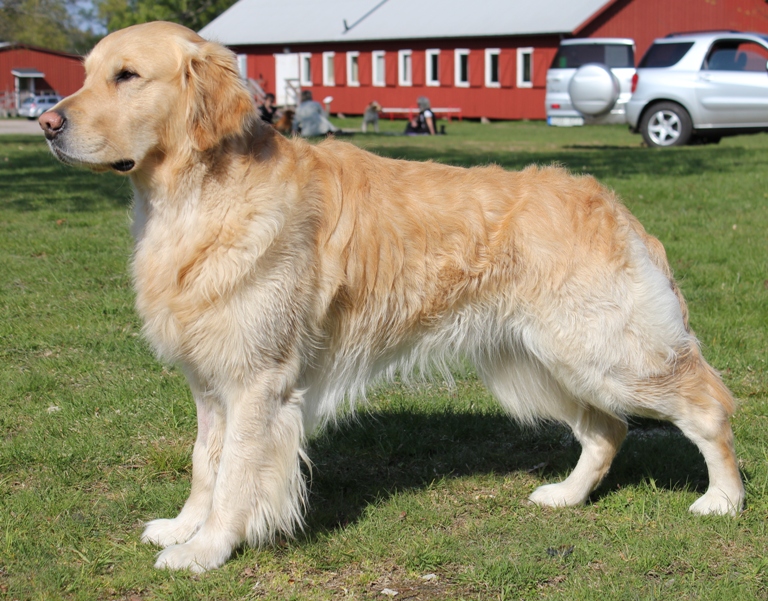 11_Jaktkurs i Uddevalla mai 2011 332.JPG