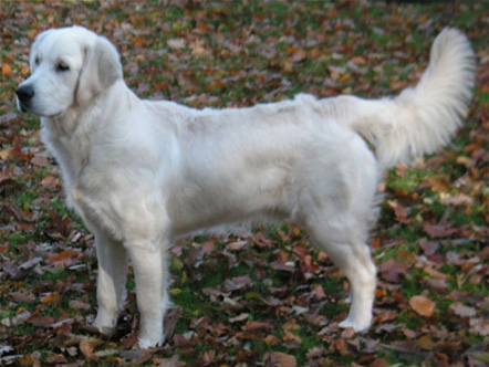 9 månader