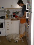 Ludde väntar på att husse ska tappa något