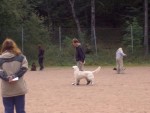 Kontaktträning