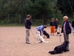 Ludde väntar på vad som ska hända