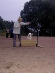 Ludde hoppar