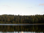 Vacker utsikt över tjärnen
