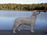Höstpromenad