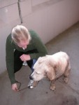 Smutsig och glad Ludde