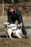 Ludde leker gärna