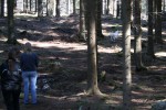 Ludde på väg för att undersöka personen i skogen