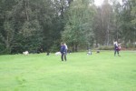 Första söken på gräsmattan