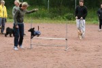 Ådi hopp
