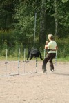 Jax hoppar