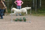 Agility 2