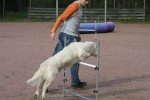 Agility 5