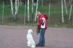 Ludde kollar på dummisarna
