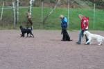Walk-up