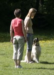Elsa och Ludde apportering