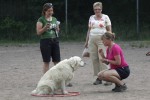 Kajsa