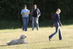Läggande under gång