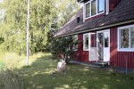 Så här ser deras inhägnad ut. Ut/ingång från köket och sovrummet (bakom trädet)