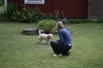 Diesel med klöven