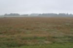 Slagfältet vid Culloden
